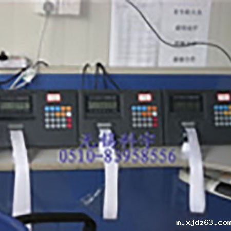 无功抓斗秤应用现场