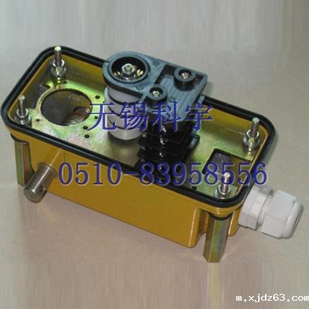 DXZ多功能行程限位器