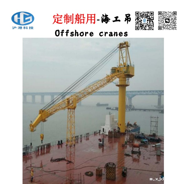 定制船用-海工吊